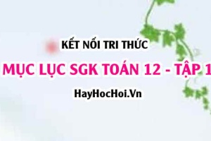 Mục lục SGK Toán 12 tập 1 Kết nối tri thức - Lý thuyết và bài tập Toán 12 tập 1 Kết nối tri thức